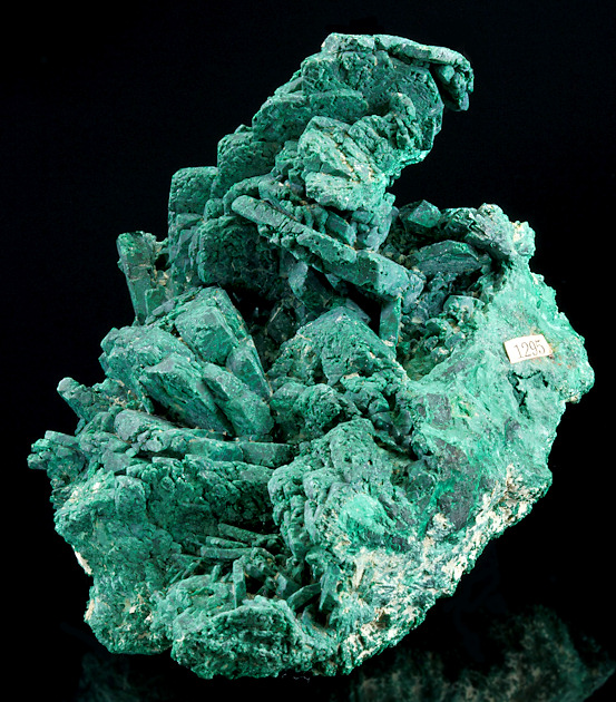 Denver2011-115Malachite-LiveOakPit-Arizona95mm2.jpg (214895 bytes)