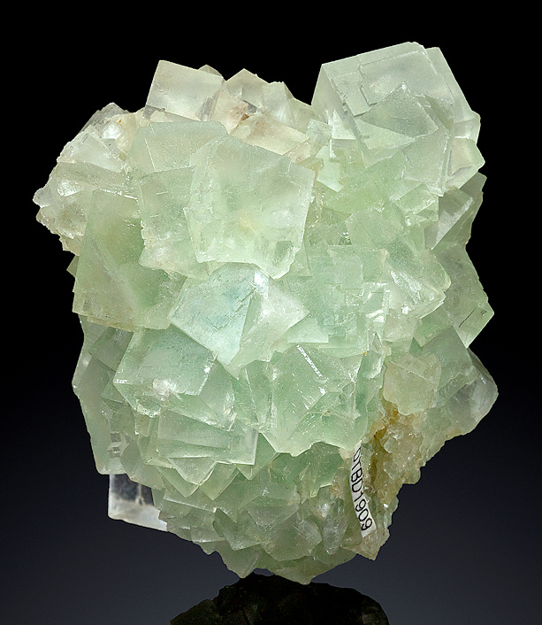 Denver2015-170FluoriteWeisseckMountainAustria65mm.jpg (207261 bytes)