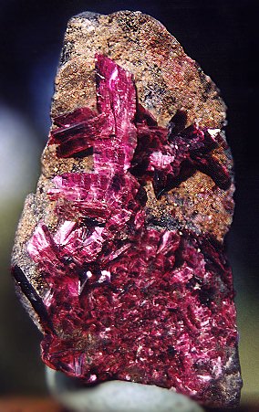 den83erythrite.jpg (55867 bytes)