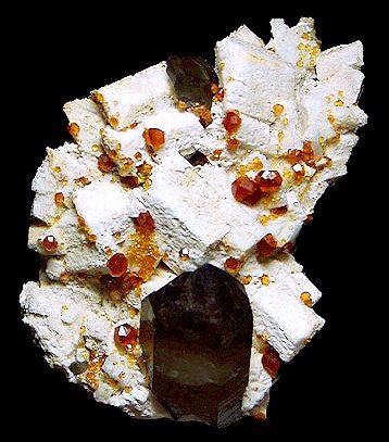 AftDen2004-603smokygarnalbite.jpg (42890 bytes)