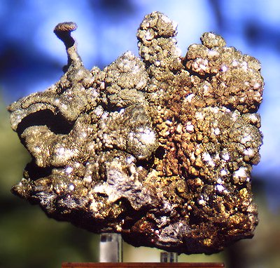 DD106Marcasite.jpg (67571 bytes)