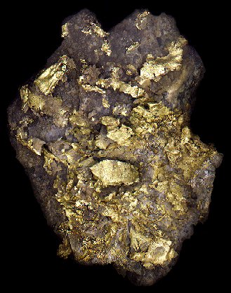 DD1GOLD.jpg (49243 bytes)