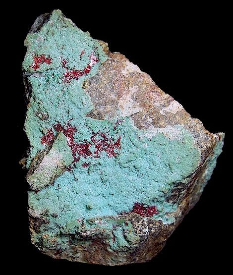 DEN2006-109chrysred.jpg (80115 bytes)