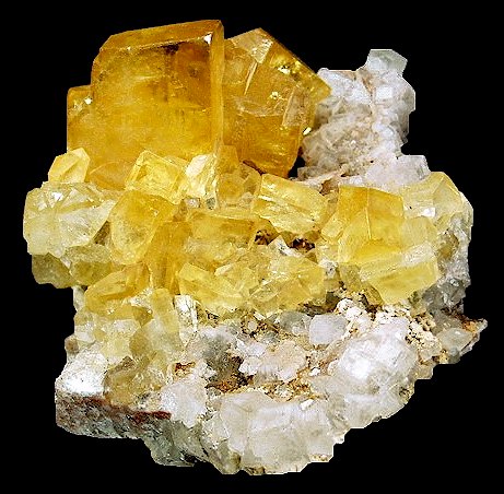 DEN2007-425goldenbarite.jpg (63061 bytes)