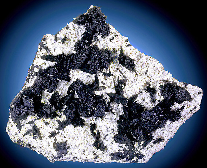 Denver2009-437SchorlQuartz.jpg (284397 bytes)