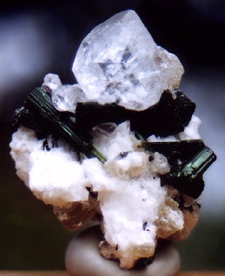 TC82GOSH.jpg (26072 bytes)