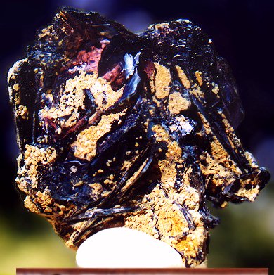 TC843EuroCovellite.jpg (62436 bytes)