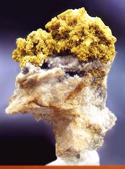 TCGOLD13.jpg (28900 bytes)