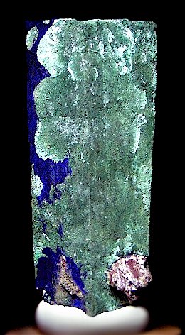 TUC1033tsumebperkinssams.jpg (45723 bytes)
