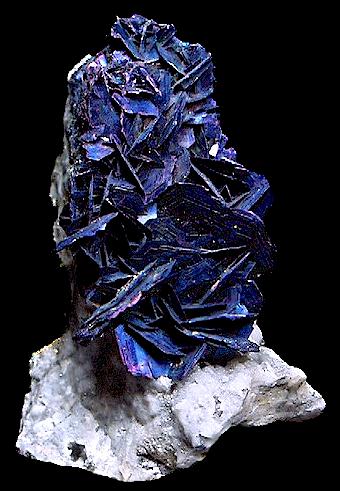 covellite on feet
