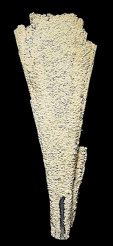 Tuc2005-145qtzpsanhydrite.jpg (32140 bytes)