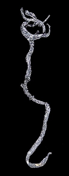 Tucson2008-348kongsfishhook.jpg (19566 bytes)